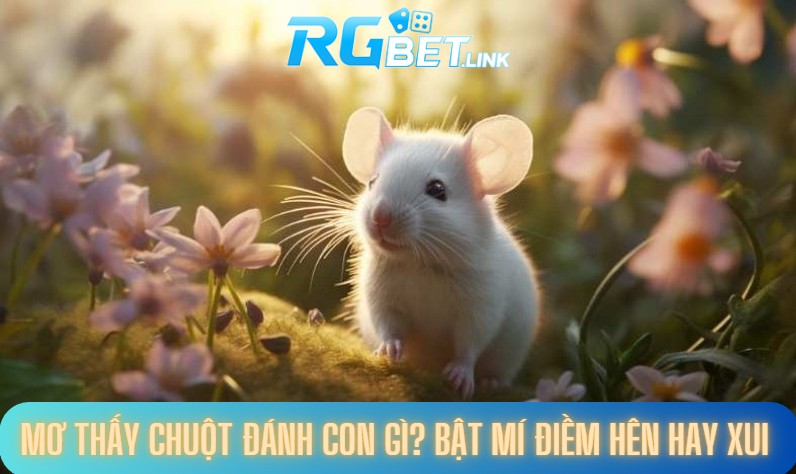Mơ thấy chuột đánh con gì?
